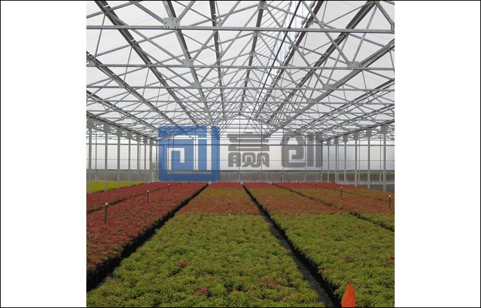 Greenhouse